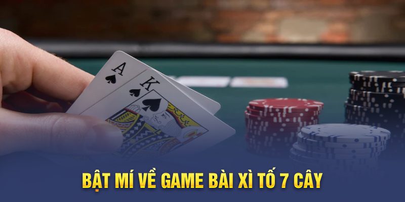 Sơ lược về game Xì Tố 7 cây tại New88